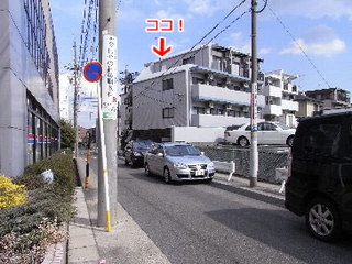 rize7.jpg